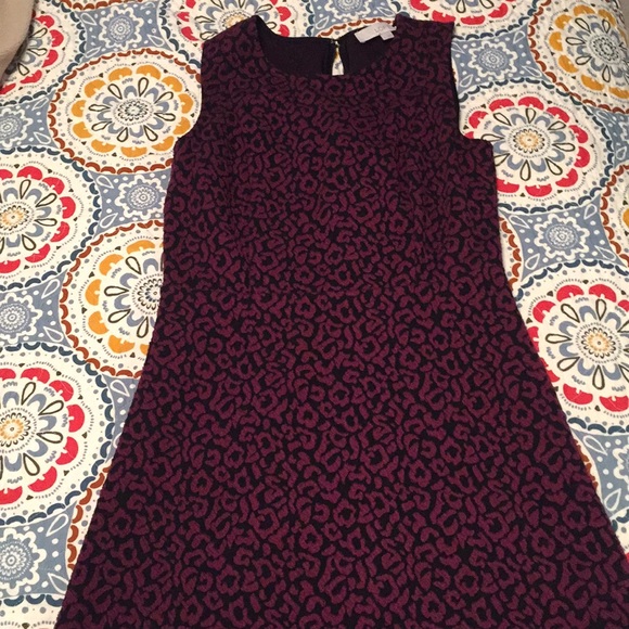 LOFT Dresses & Skirts - Ann Taylor Loft Animal Print Dress Size 6